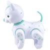 Electric Universal Machine Cat Music Lighting Story Children's Toy