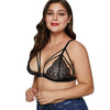 Plus Size Unlined Lace Bra