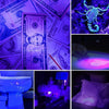 brelong LG - 117 Money Detector /  Adjustable Light Beam / Waterproof Design LED Flashlight