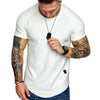 Applique Solid Color Layer Raglan Sleeves T-shirt
