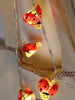 2M 20LED Ladybug Indoor Decoration Lamp String