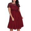 Solid Color Lace Short Sleeve Dress