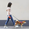 270ml Large Capacity Pet Accompanying Water Cup from Xiaomi youpin