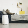 18L Large Capacity Constant Temperature Mute APP Control Dehumidifier from Xiaomi youpin