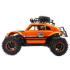Flytec SL - 145A 1:14 2.4GHz 2DW High-speed Climbing Car Full-scale Off-road Vehicle