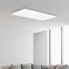 Philips 9290022201 Ceiling Light Mini Version 1000 x 680 x 89mm ( Xiaomi Ecosystem Product )