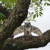Fake Prowler Owl Decoy with Movable Wings Garden Field Lawn Protection Repellent Bird Scarer