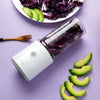 Pinlo Electric Portable Juicer Fruit Vegetable Juice Mixer