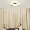 Mijia PHILIPS LED Ceiling Lamp Dust Resistance App Wireless Dimming AC 100 - 240V