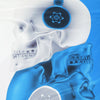 Skull Print Two Tone Casual T Shirt for Man