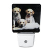 220V White LED Night Light Pet Pattern Light-controlled Living Room Kitchen
