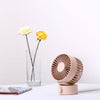Double Blade USB Charging Desktop Fan