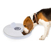 Timing Feeder for Cats and Dogs with Music Reminder 6 Grid