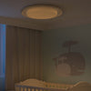 YEELIGHT YLXD48YI 34W Intelligent LED Ceiling Light 560mm ( Xiaomi Ecosystem Product )