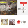 50PCS Rabbit Drinker Nipple Automatic Pet Feeder Water Bunny Farm Rodents Animal Rat Ferrets