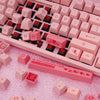 Akko 3108 v2 Wired Mechanical Keyboard 108 Keys with 9 Additional Keycaps for Home / Office / Game