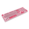 Akko 3108 v2 Wired Mechanical Keyboard 108 Keys with 9 Additional Keycaps for Home / Office / Game