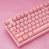 Akko 3108 v2 Wired Mechanical Keyboard 108 Keys with 9 Additional Keycaps for Home / Office / Game