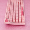 Akko 3108 v2 Wired Mechanical Keyboard 108 Keys with 9 Additional Keycaps for Home / Office / Game
