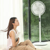 Deerma DEM - FSY70 Floor Fan DC Frequency Conversion Natural Wind with Remote Control