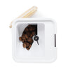 DOGNESS Smart Pet Treater HD Video WiFi Dog Camera Treat Dispenser