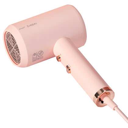 Zhibai HL311 Household Portable Compact Negative Ion Hair Dryer from Xiaomi youpin