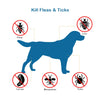 Sinypet 25-inch Dog Flea Collar Tick Insect Repellent Natural Essential Oil Water-resistant Full-body Protection