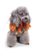 Halloween Pumpkins Scarf for Pet
