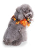 Halloween Pumpkins Scarf for Pet