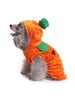 Halloween Pumpkin Hoodie for Pet