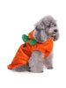 Halloween Pumpkin Hoodie for Pet