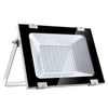 220V Ultra-thin Projection Light Induction Lamp