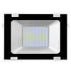 220V Ultra-thin Projection Light Induction Lamp