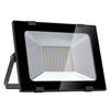 220V Ultra-thin Projection Light Induction Lamp