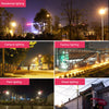 LED lighting with poles IP67 110V 30W/50W/80W