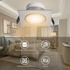 LED Three-speed Adjustable Ceiling Lamp 220V Light