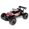 Flytec 6029 20km/h High Speed Remote Control Racing Car 2.4GHz 1:16 Off Road RC Crawler