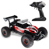 Flytec 6029 20km/h High Speed Remote Control Racing Car 2.4GHz 1:16 Off Road RC Crawler