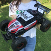 Flytec 6029 20km/h High Speed Remote Control Racing Car 2.4GHz 1:16 Off Road RC Crawler