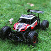 Flytec 6029 20km/h High Speed Remote Control Racing Car 2.4GHz 1:16 Off Road RC Crawler