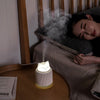 Bear Shape Light Mini USB Charging Humidifier Creative Home Office Car Cartoon Atomizer