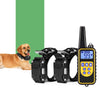 880 800m Waterproof Rechargeable Remote Control Dog Electric Training Collar