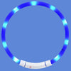 XL81 - 5001 Waterproof Lighting USB Pet Collar from Xiaomi youpin