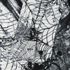 Spider Printed Long Sleeves Shirt
