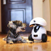 DOGNESS Smart IPet Robot Toy HD Video Monitor Your Pet
