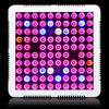 300W LED Plant Growth Lamp