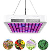 300W LED Plant Growth Lamp