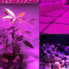 300W LED Plant Growth Lamp