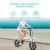 FIIDO D1 Electric Bike