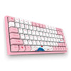 AKKO 3084 World Tour - Tokyo Mechanical Gaming Keyboard 84 Keys Bluetooth 3.0 USB Sublimation PBT Keycaps